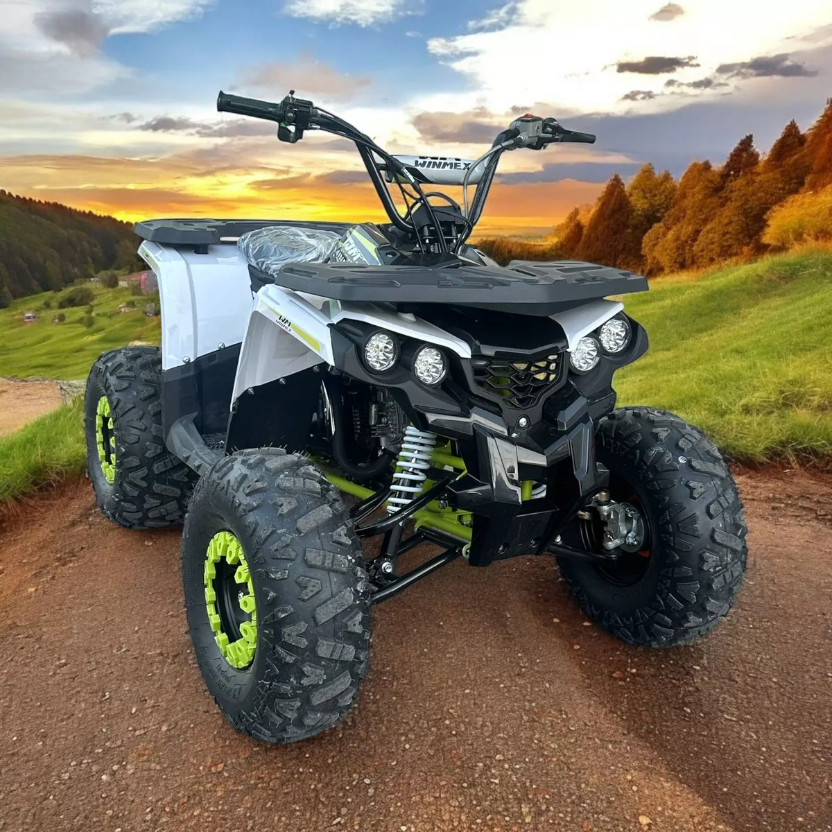 Mini Cuatrimoto Atv Niños Montable 125cc Moto Gasolina 65kmh
