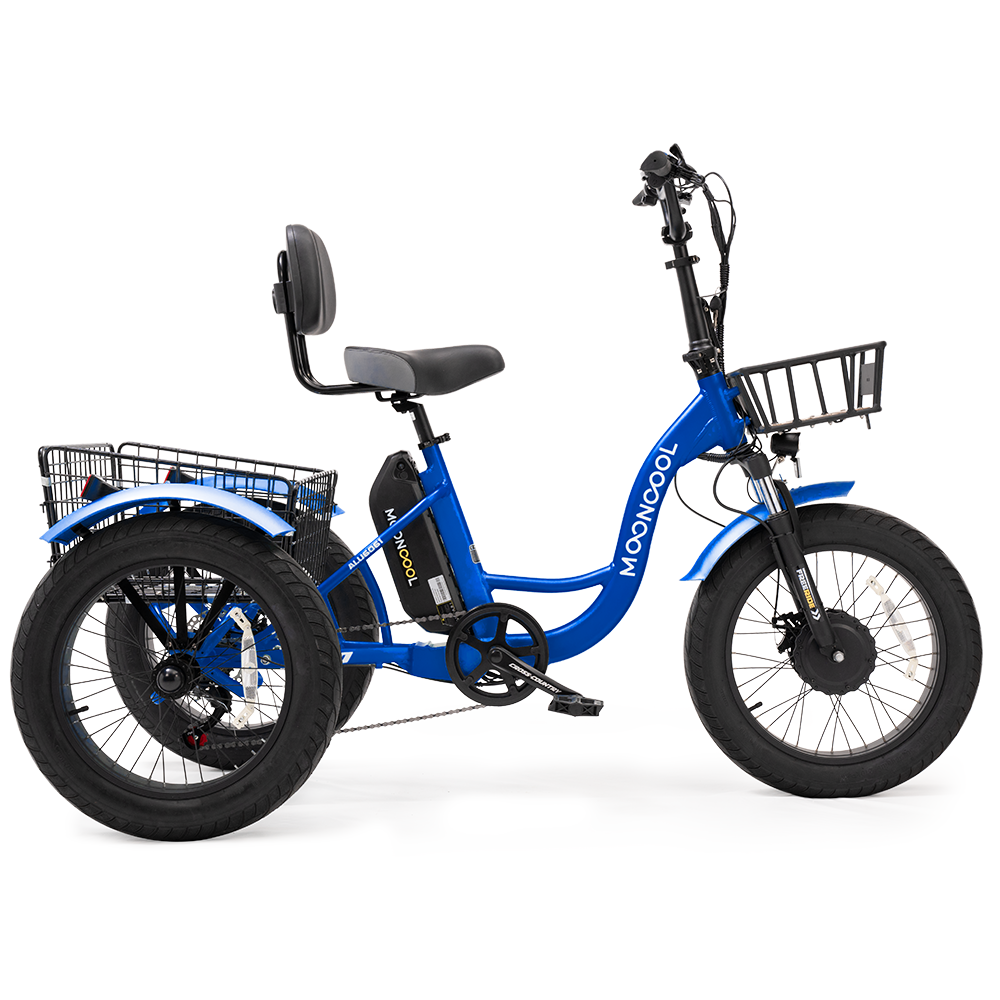 TK1 Fat Tire Electric Trike(RANDOM color)