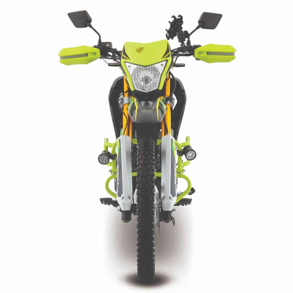 Motocicleta Doble Propósito Italika DM250 Negro con Verde