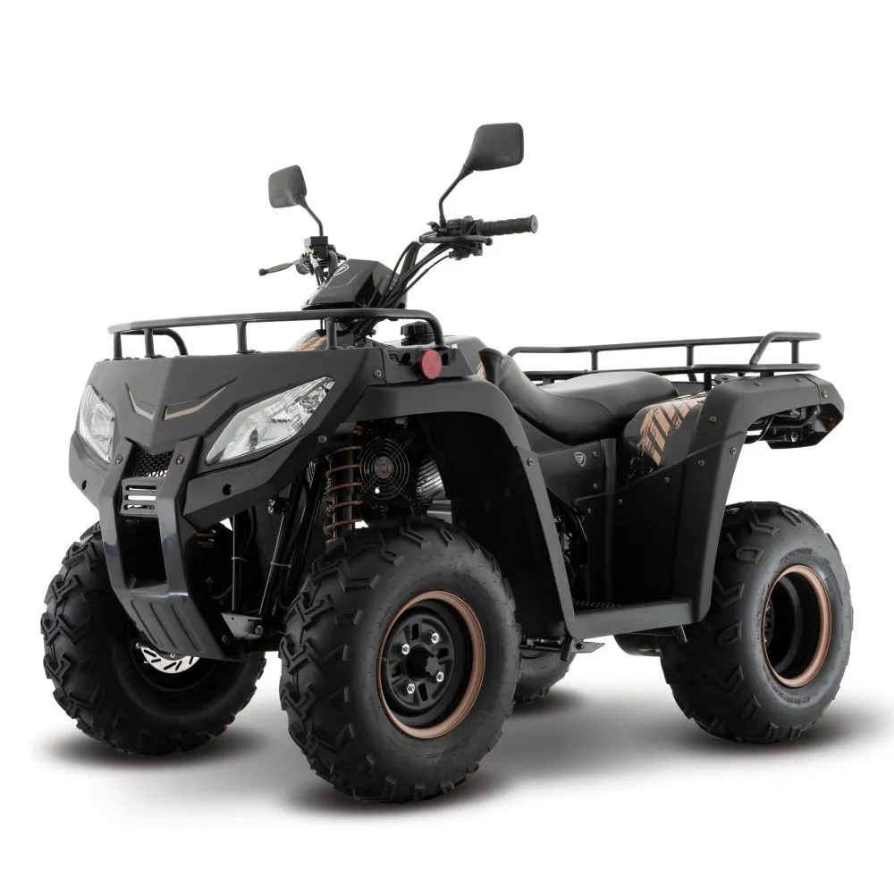 Cuatrimoto Italika ATV250 Negra