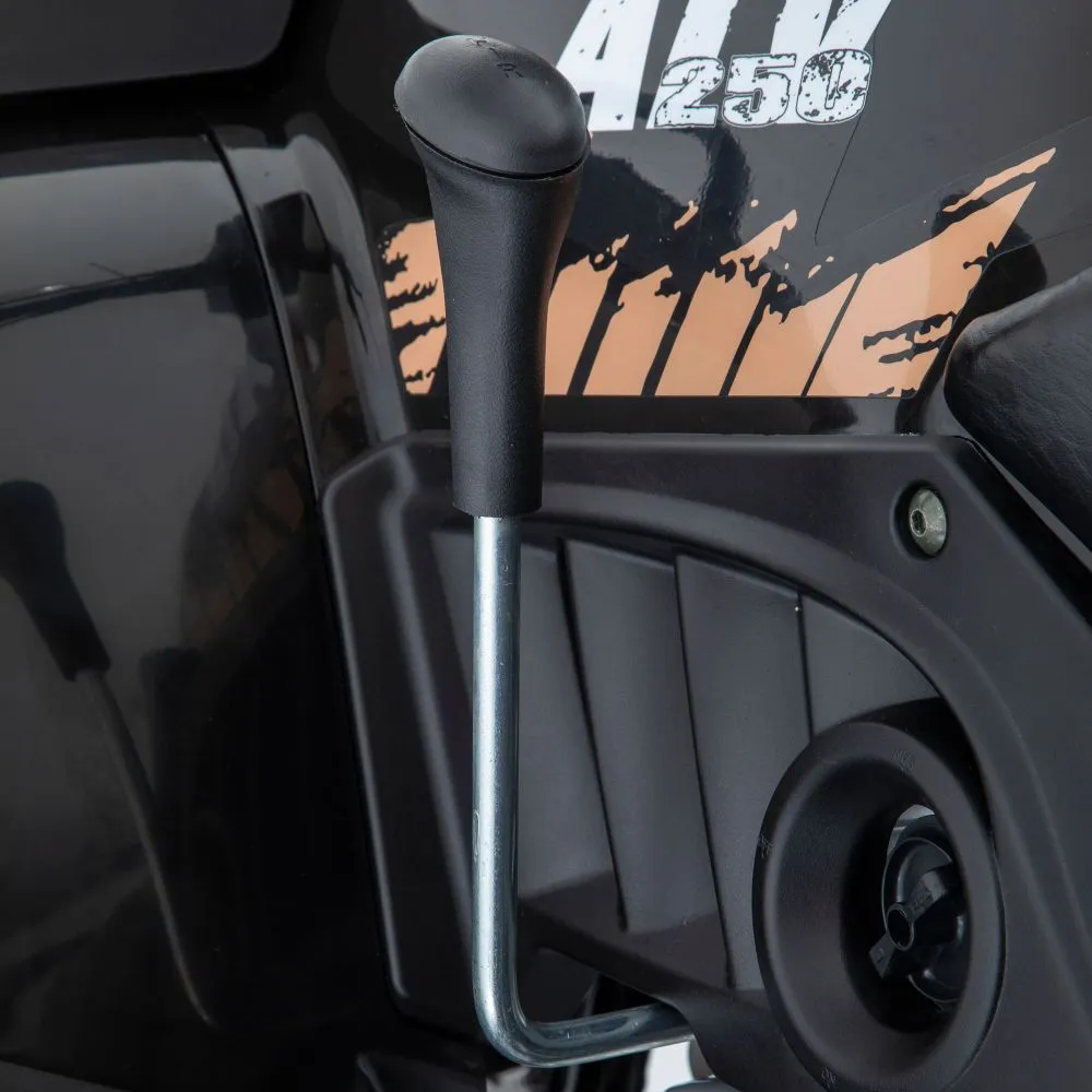 Cuatrimoto Italika ATV250 Negra