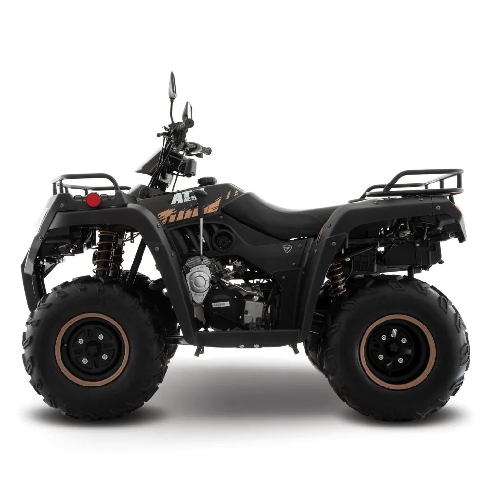 Cuatrimoto Italika ATV250 Negra
