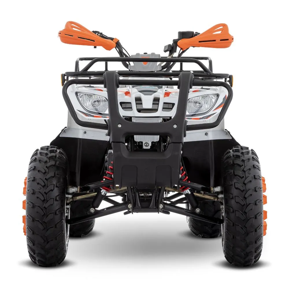 Cuatrimoto Italika ATV 190 Gris