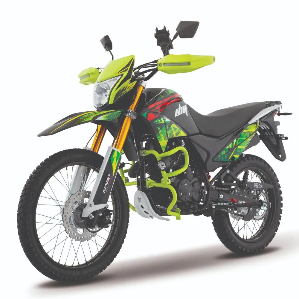 Motocicleta Doble Propósito Italika DM250 Negro con Verde