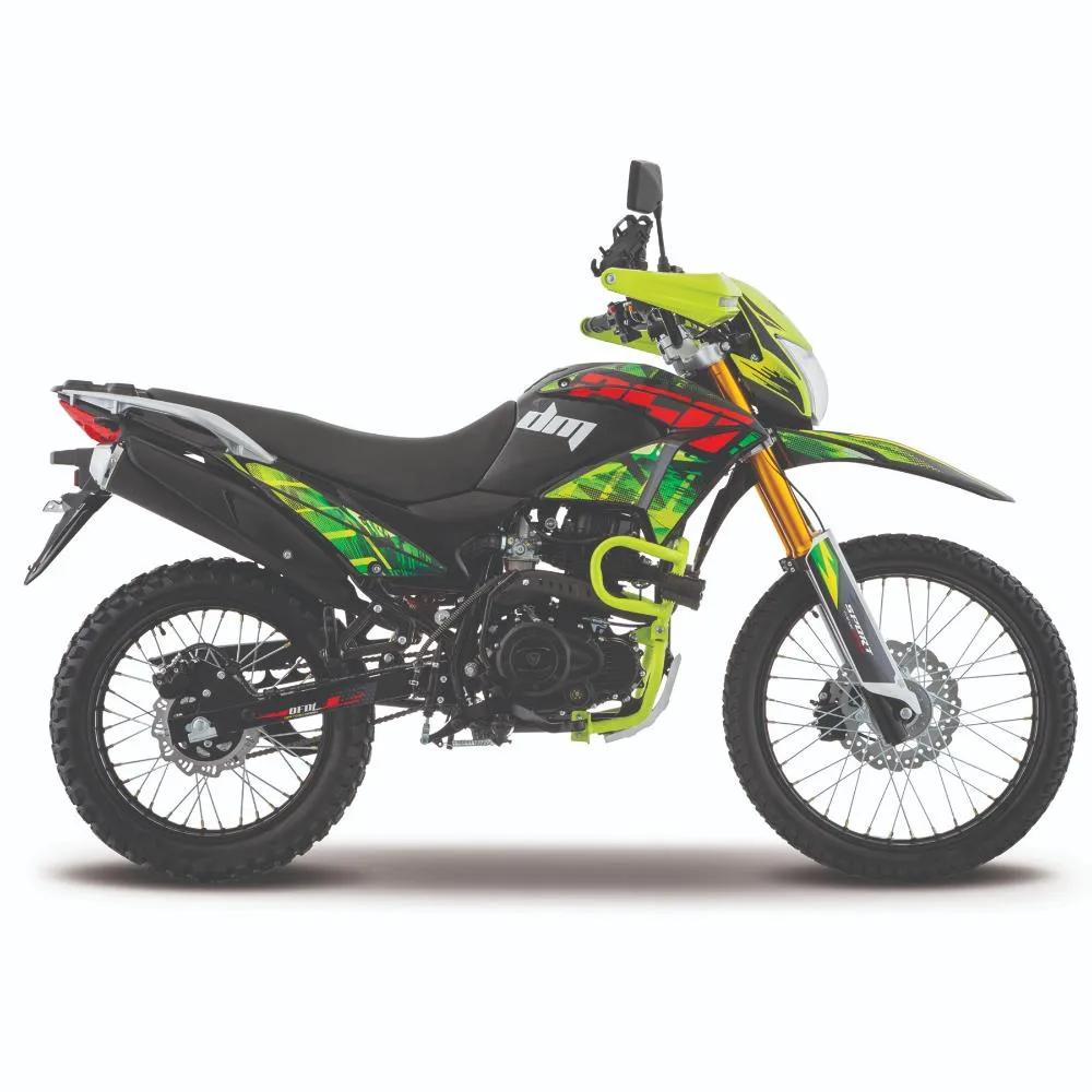 Motocicleta Doble Propósito Italika DM250 Negro con Verde