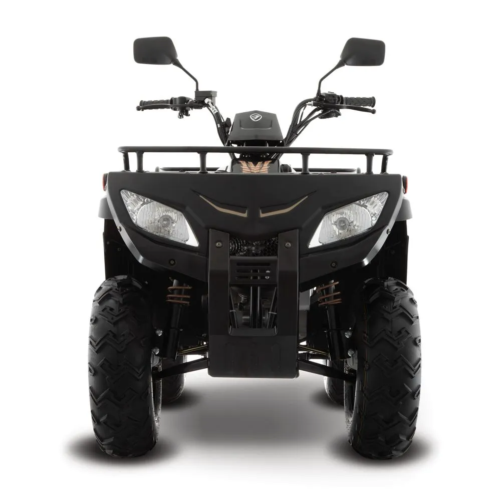 Cuatrimoto Italika ATV250 Negra