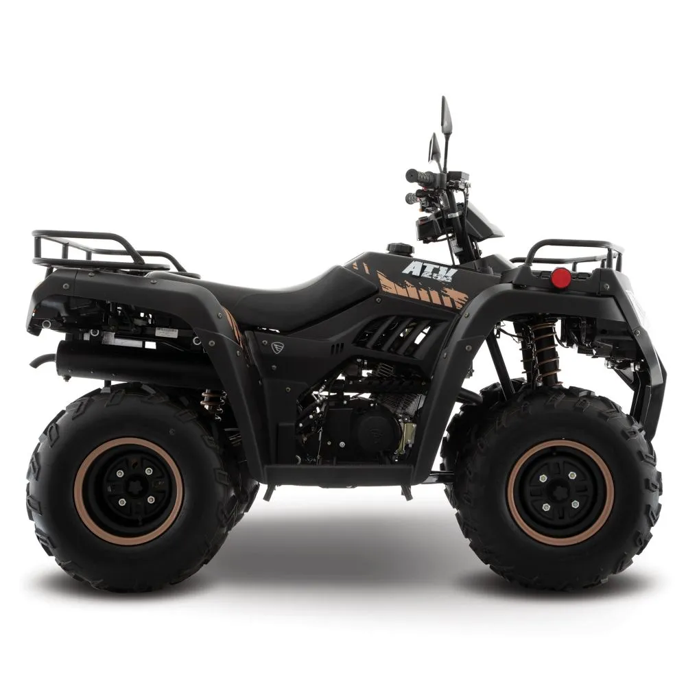 Cuatrimoto Italika ATV250 Negra