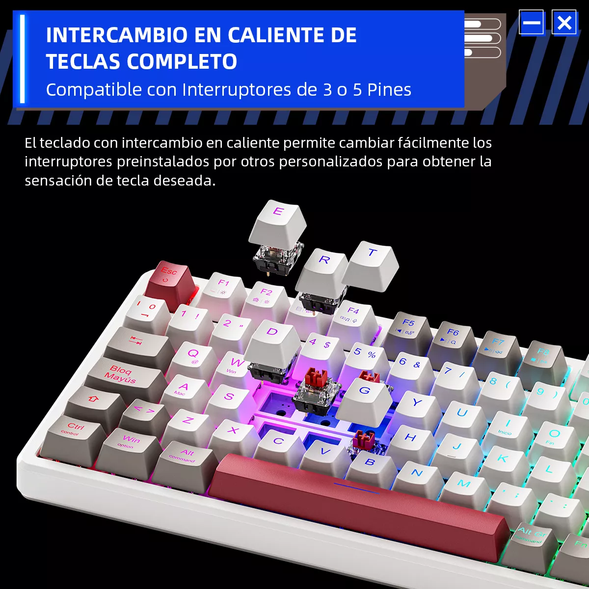 Teclado Mecánico Español Thunderobot K98 Gasket Rgb Hot Swap 3/5 Pins Ergonómico 98% Layout Teclado Alfanumerico 100% Anti-Ghosting Outemu Brown Switch Teclado Para PC USB Teclado Mecánico Gamer