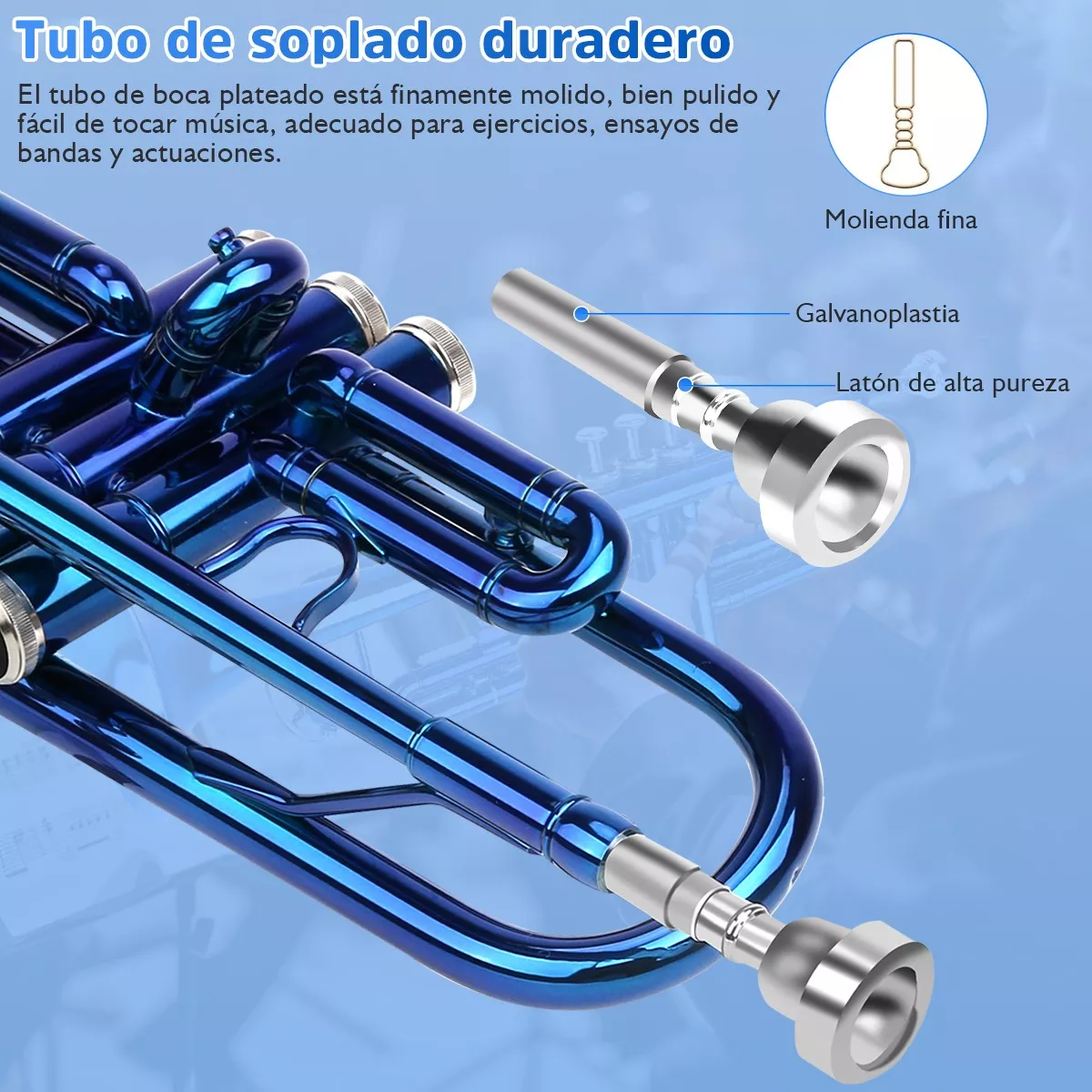 Standard Bb Trompeta Instrumento Musical Viento Con Estuche