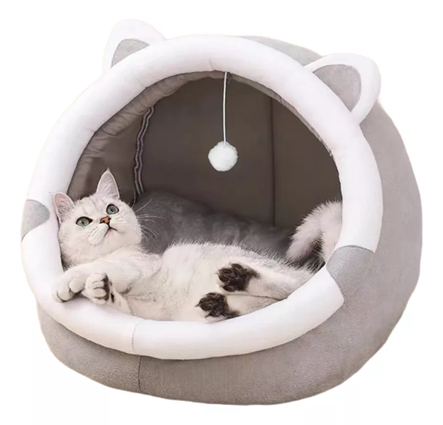 Casa Y Cama Plegable Para Gato Con Cojín Suave Mascota