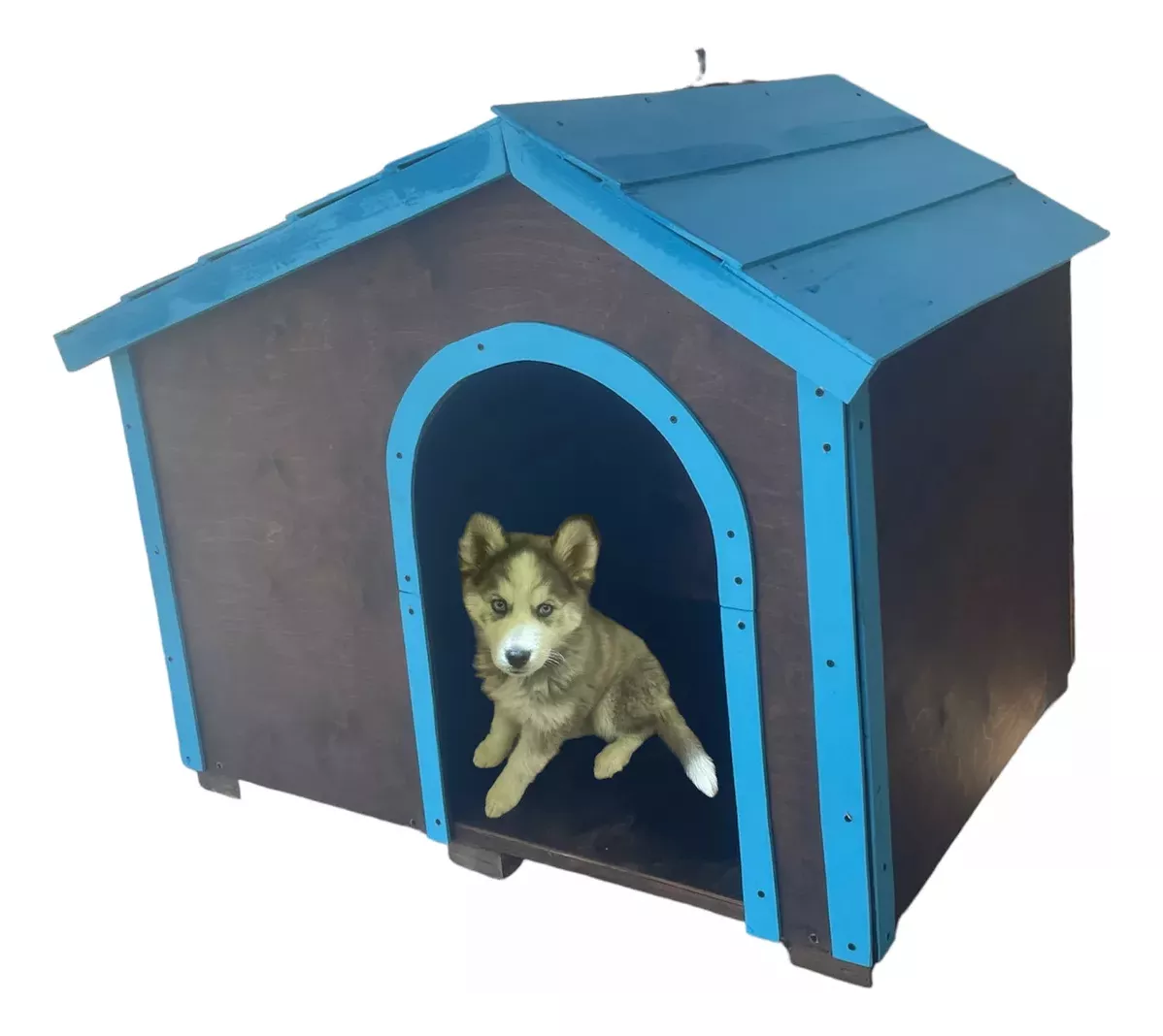 Casa Para Perro Tamaño Husky Impermeabilizada Regalo Cadena
