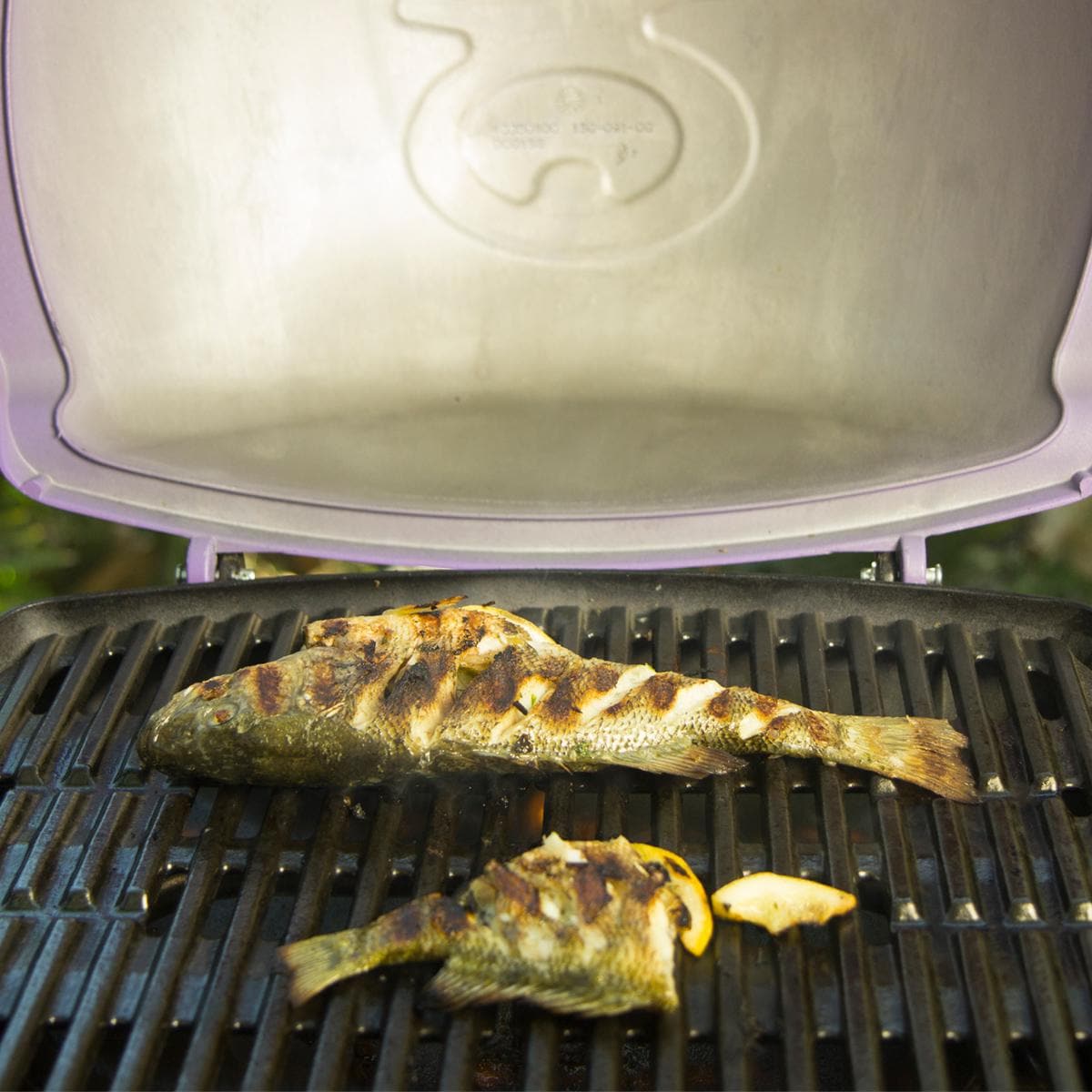 Weber Q 3200 Propane Gas Grill-Titanium-57060001