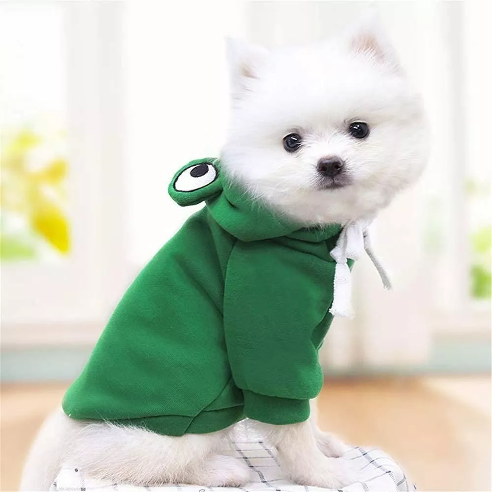 Sudadera Para Perros Gatos Con Estilo Rana