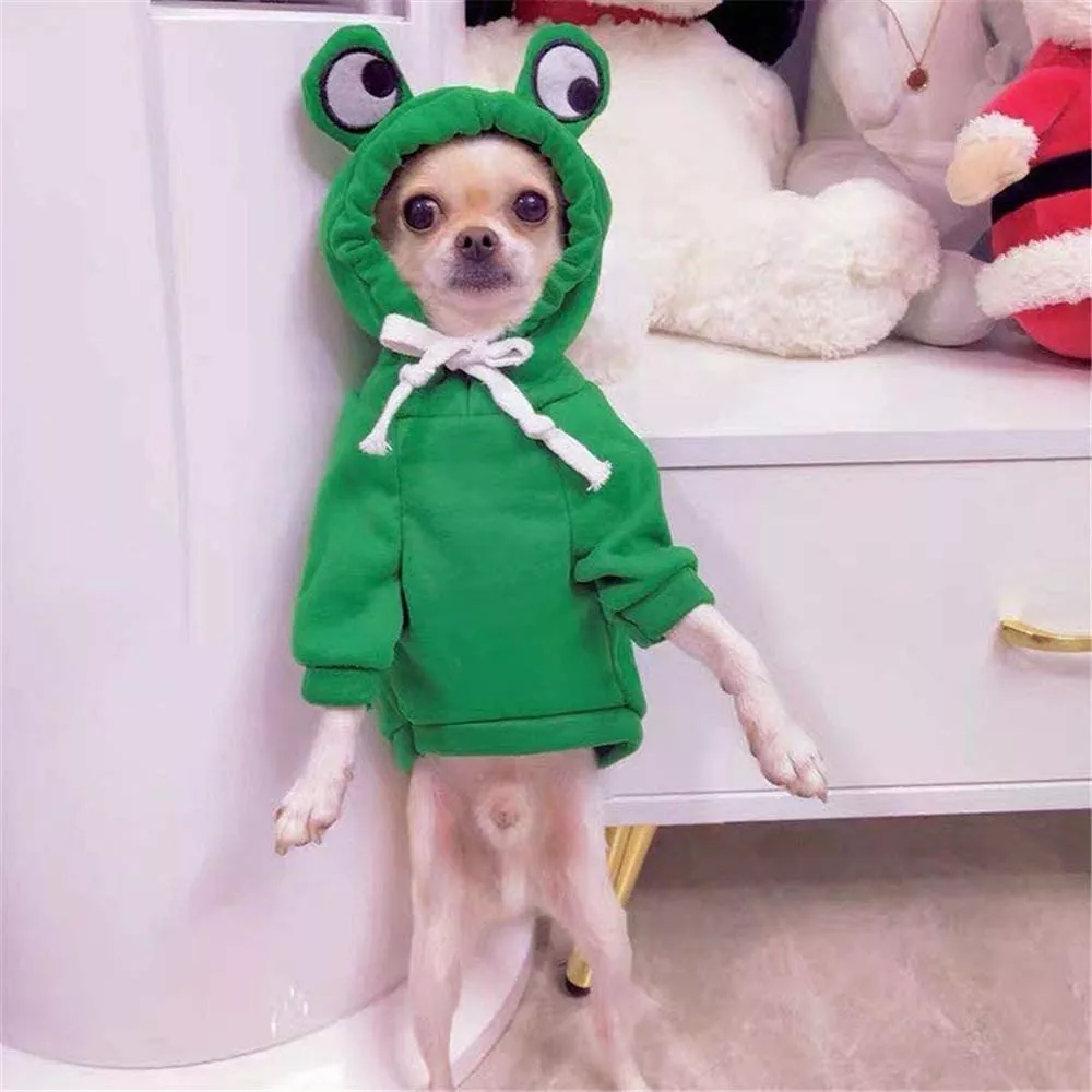 Sudadera Para Perros Gatos Con Estilo Rana