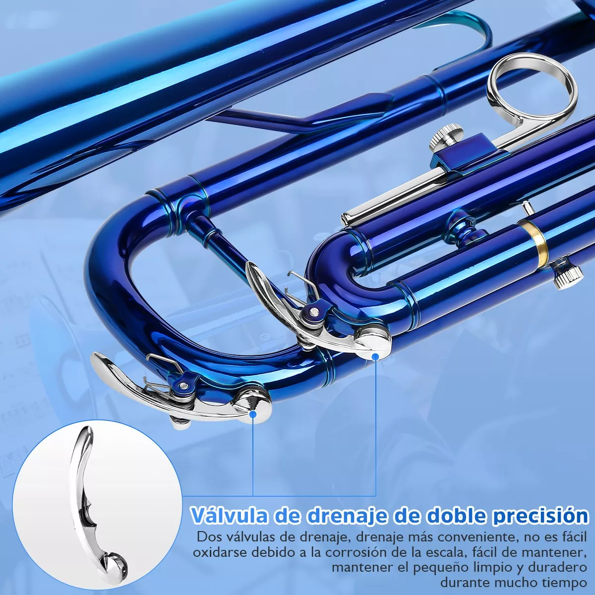 Standard Bb Trompeta Instrumento Musical Viento Con Estuche