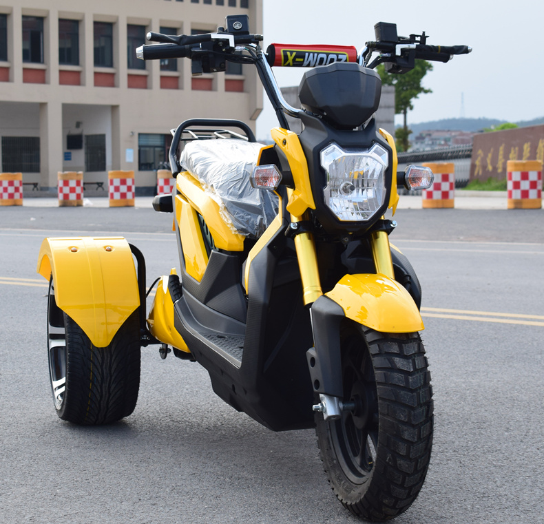 Scooter 3 ruedas 60V 1000w Moto eléctrica