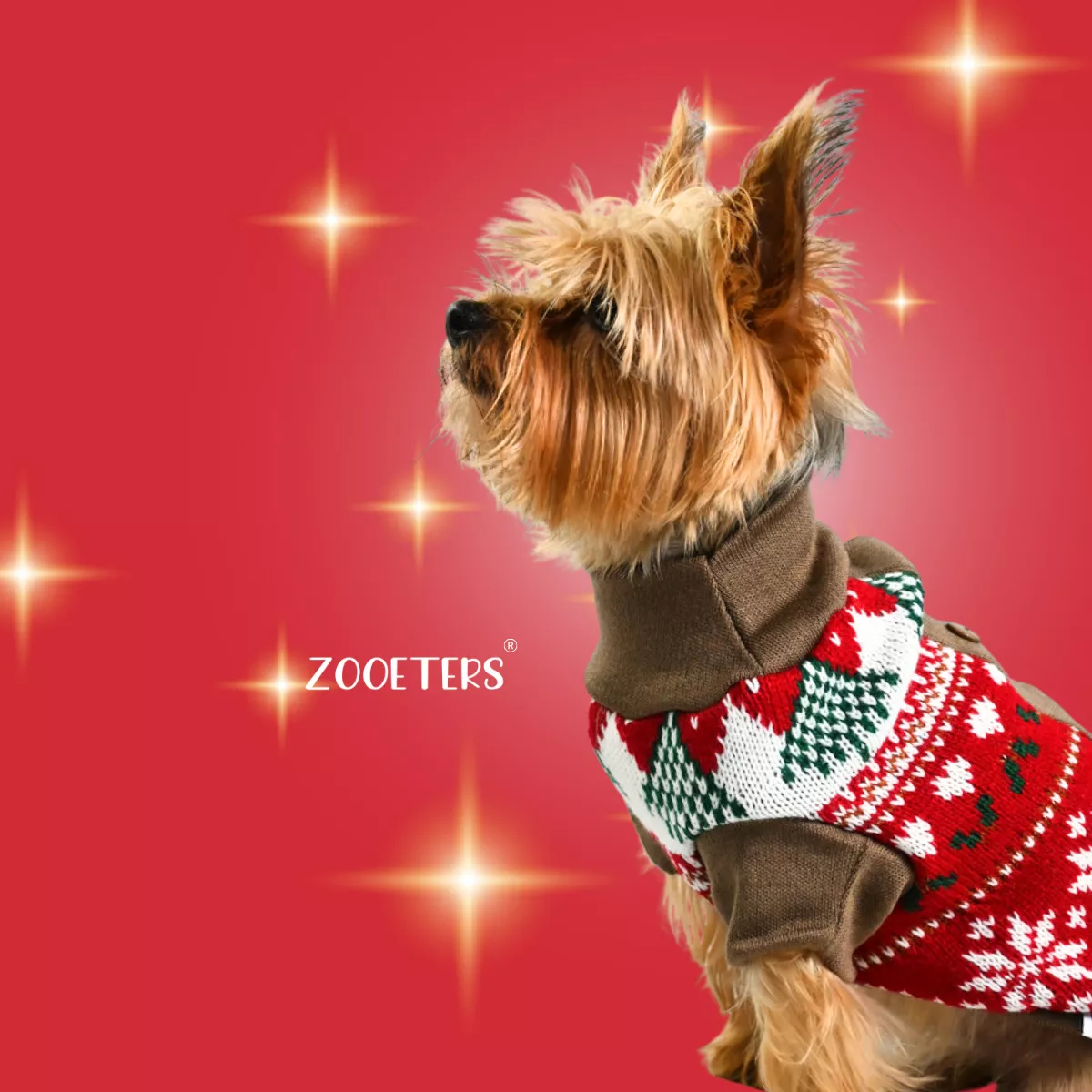 Sueter Navideño Perro Gato Razas Pequeñas Chico Zooeters