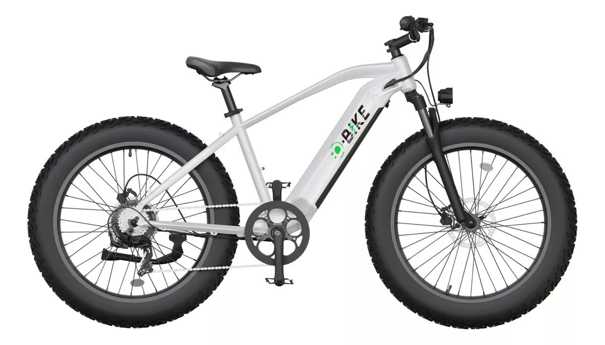 Bicicleta Eléctrica Q-bike Qjg01 500w 45km/h Plata