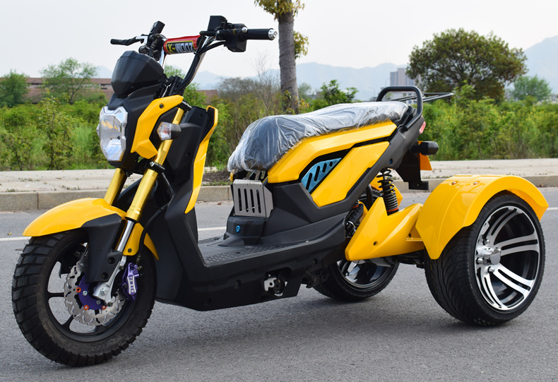Scooter 3 ruedas 60V 1000w Moto eléctrica