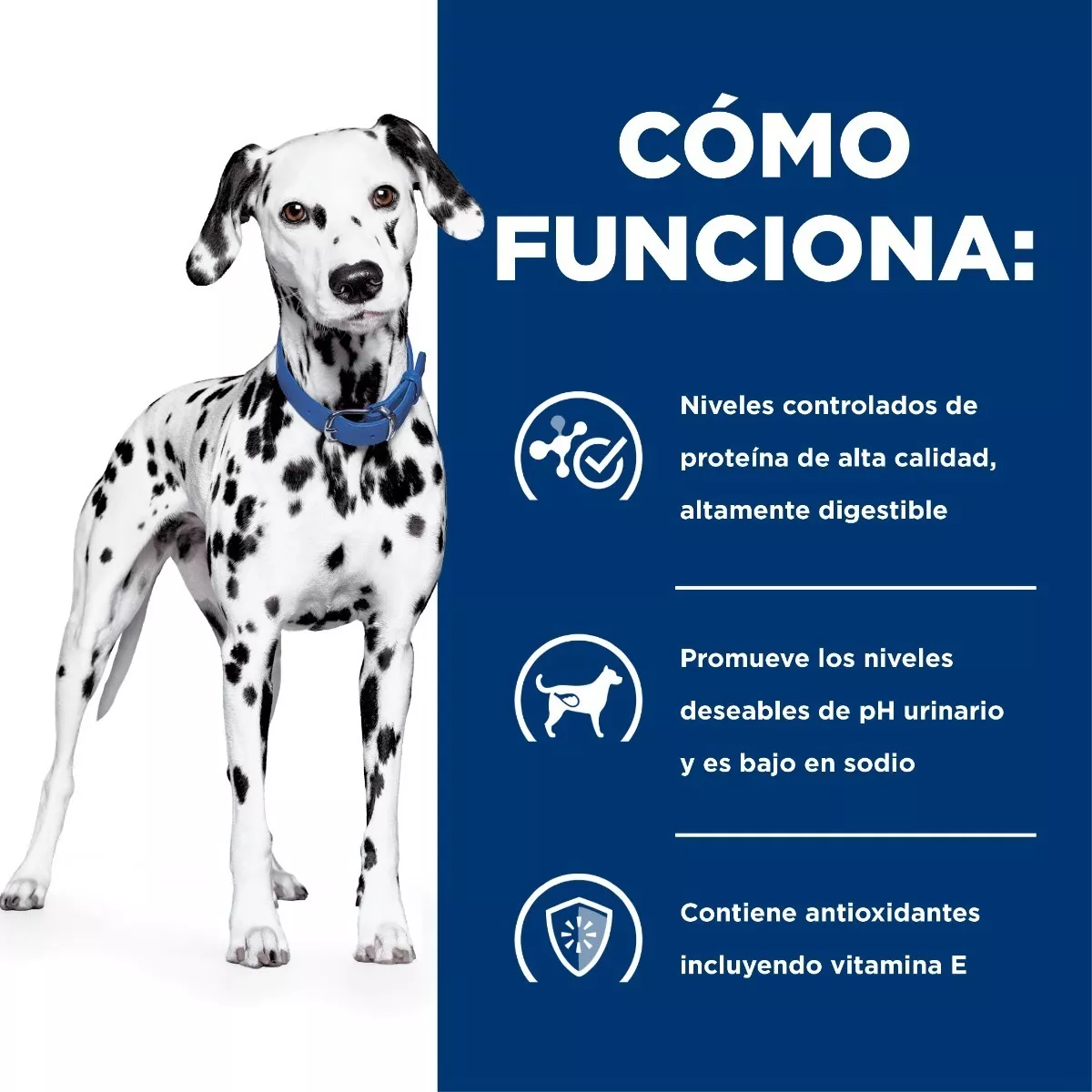 Hill's Pet Nutrition Hill's Prescription Diet Urinary Care u/d Perro Adulto-Todos los tamaños-Mix-12.5 kg-12.5 kg-Bolsa-Seca