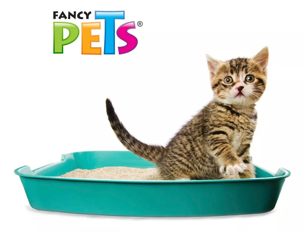 Arena Para Gato Especial Para Arenero Caja 12.5 Kg Fancy Pet