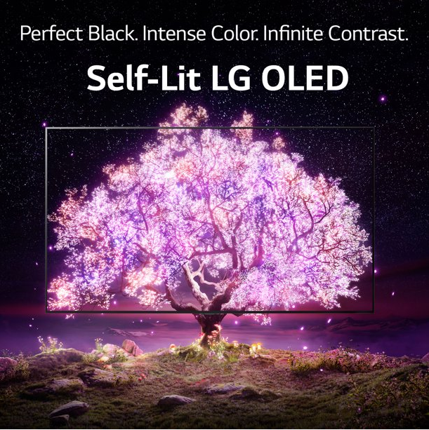 LG 48