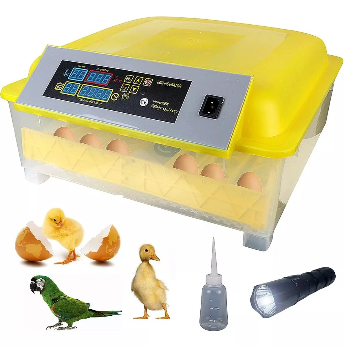 Incubadora 48 Huevos Pollos Y Aves Con Giro Automatico Hhd