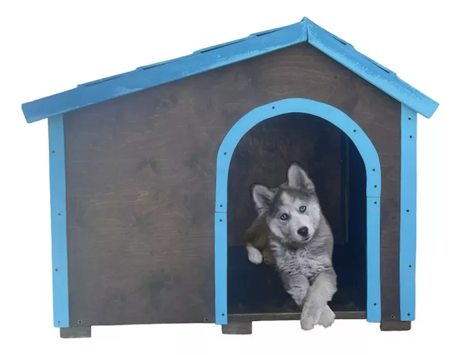 Casa Para Perro Tamaño Husky Impermeabilizada Regalo Cadena