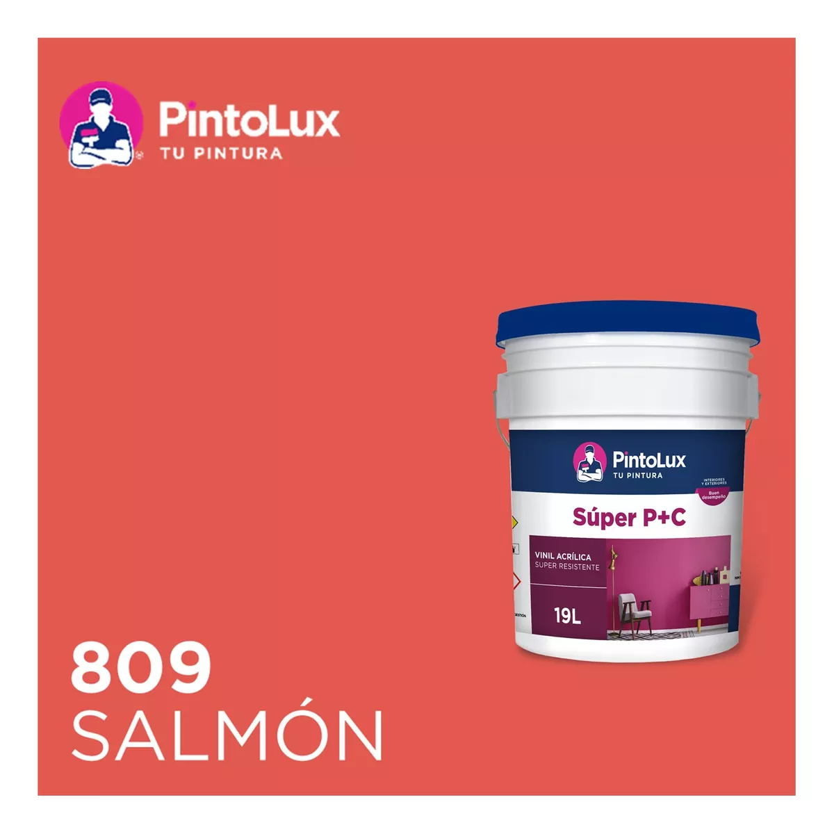 Pintura Pintolux Pc 19l Acrílica