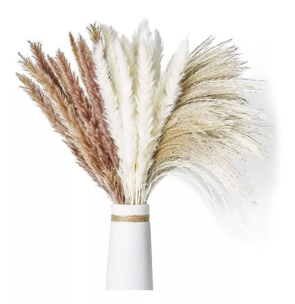 Pampas Secas 60pcs Plantas Decorativas Flores Artificiales