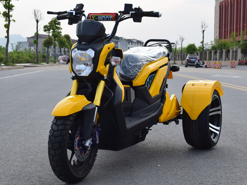 Scooter 3 ruedas 60V 1000w Moto eléctrica
