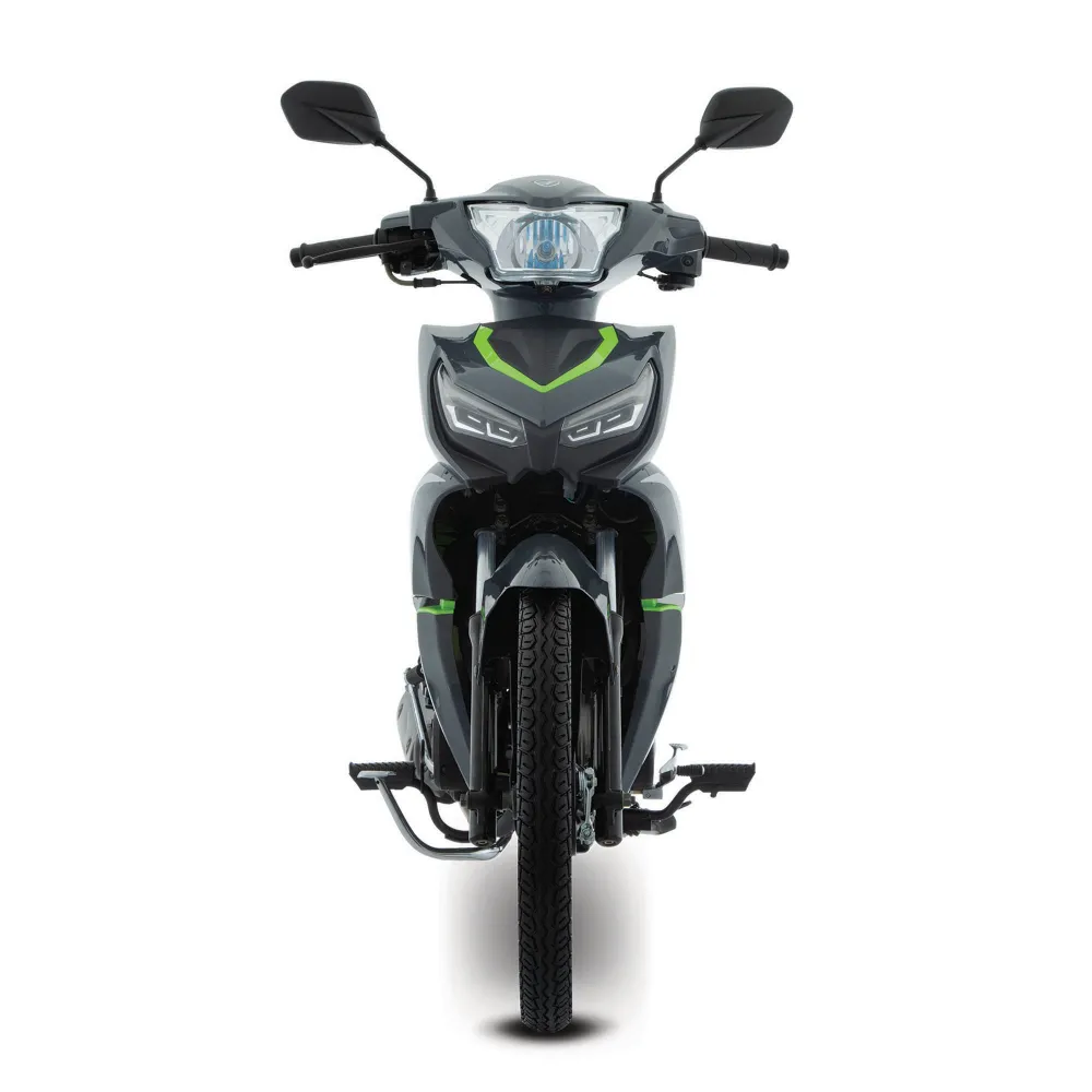 Motocicleta de Trabajo Italika AT125 Gris