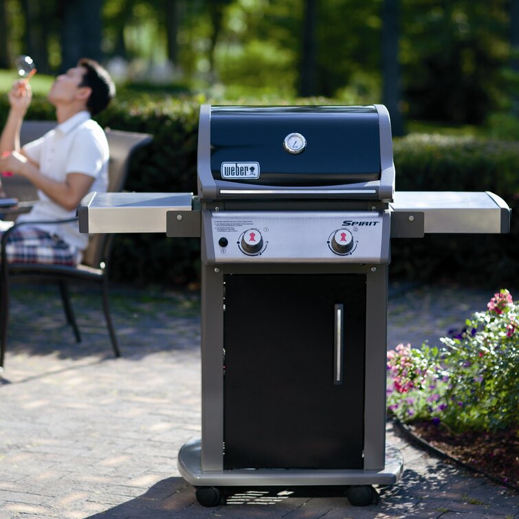 Weber Griddles E-210 Parrilla de gas propano de 2 quemadores con gabinete
