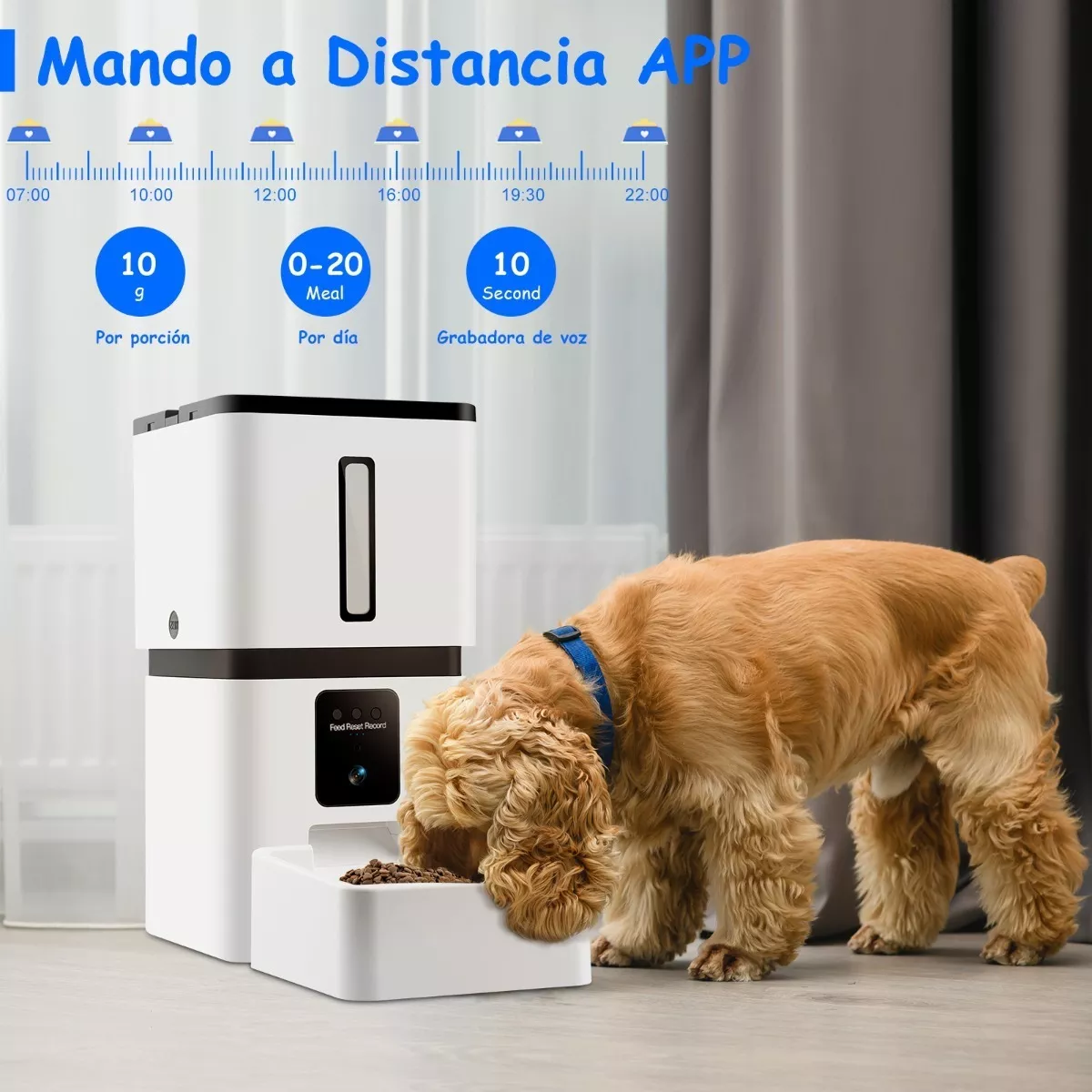 Comedero Automatico 8l Perro Gato Con Cámara 2.4/5g Wifi App