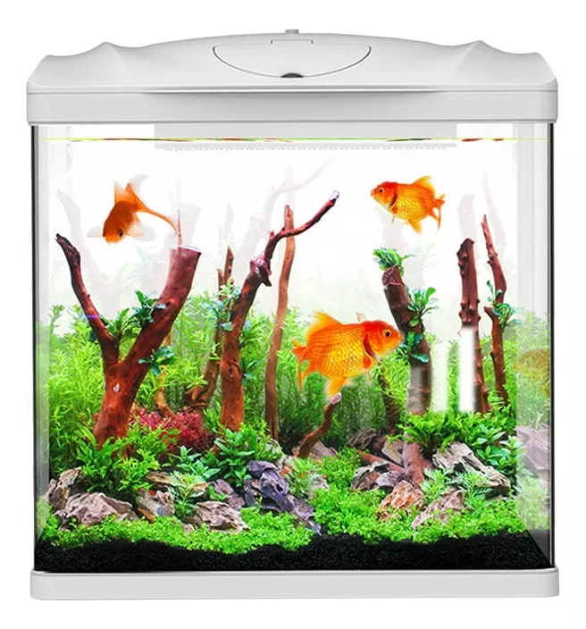 Pecera De Escritorio Mini Acuario Equipado 7 Lts color Blanco