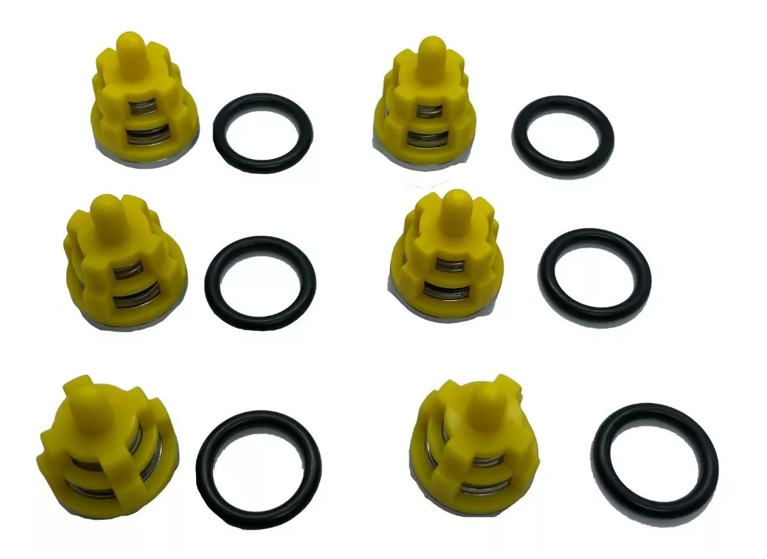 V&aacute;lvulas Check Bomba Hidrolavadora Udor Bl 5.0/30 W kit 2