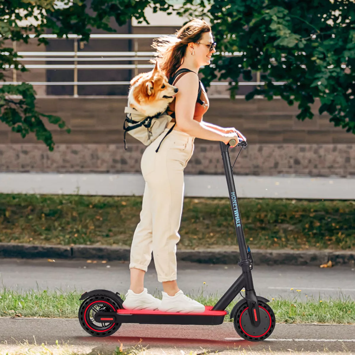 Scooter El&eacute;ctrico Pat&iacute;n Plegable Para Adultos S2-V2 Honey Whale Patin Electrico Con Motor Sin Escobillas Potencia M&aacute;xima 500w, Velocidad M&aacute;xima De 30km/h Con Luz Led En 4 Colores