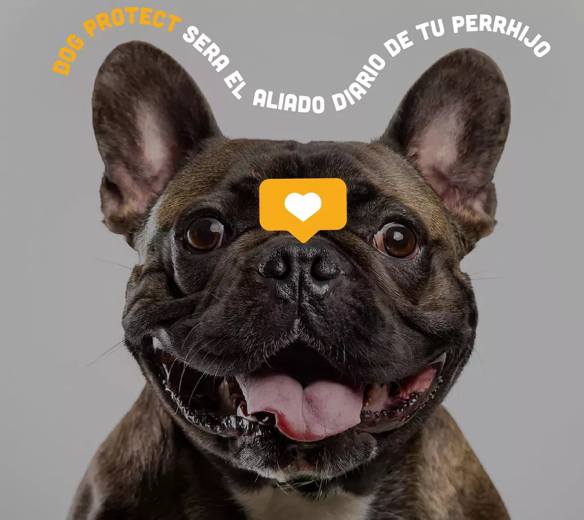 Dog Protect 960 Ml Aceite De Salmón Para Perros Omega 3,6,9