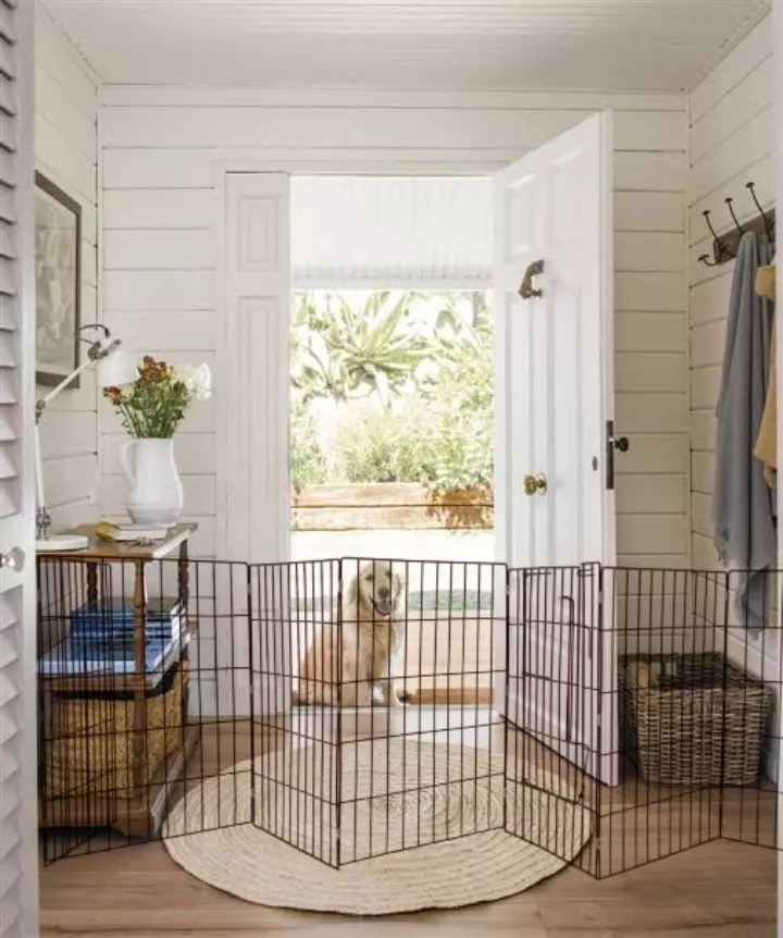 Valla Para Perros Expandible De 75cm De Alto 7.5mt De Largo