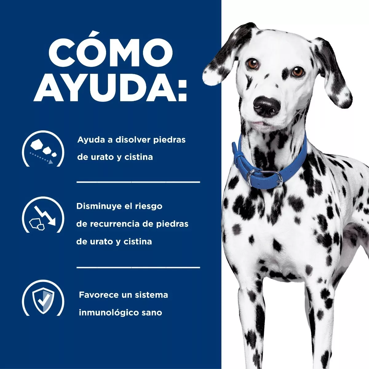 Hill's Pet Nutrition Hill's Prescription Diet Urinary Care u/d Perro Adulto-Todos los tamaños-Mix-12.5 kg-12.5 kg-Bolsa-Seca