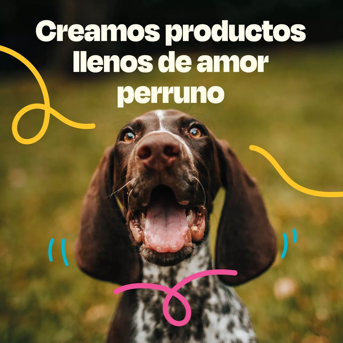 Dogelthy Gastro Aid Probioticos Para Perros y Gatos en Polvo 270 mL