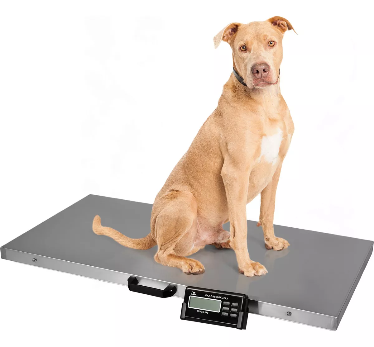 Bascula Veterinaria Gatos Perros Grandes 300kg Acero Inox color Plata