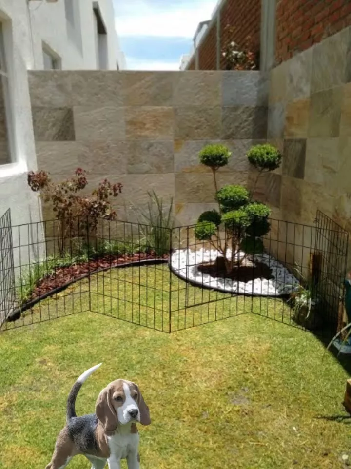 Valla Para Perros Expandible De 75cm De Alto 7.5mt De Largo