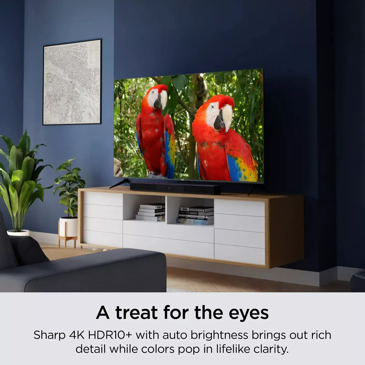 Smart Tv 65 Pulgadas 65r4a5r 4k Led Rokutv Hdr 10+ 60hz