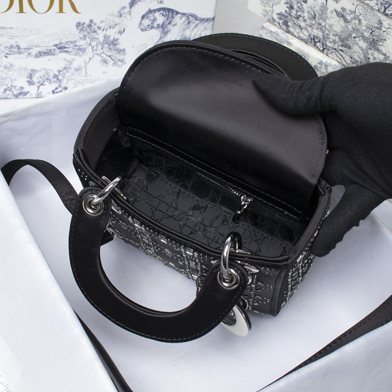 Dior The LADY D-LITE Bag