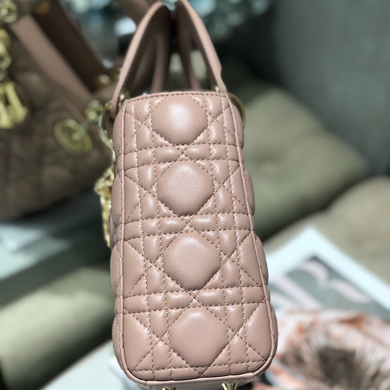 Dior The LADY D-LITE Bag