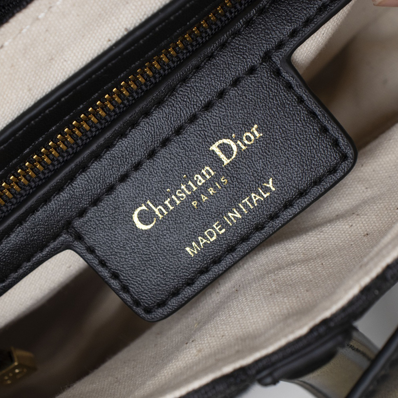 Dior SADDLE Bag