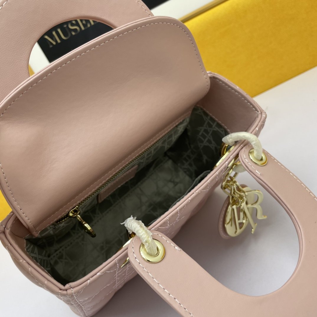 Dior The LADY D-LITE Bag