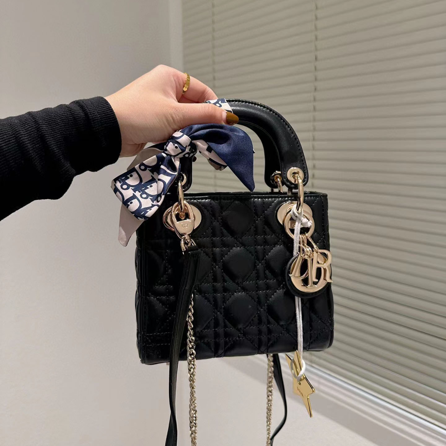 Dior  Mini Lady Bag-