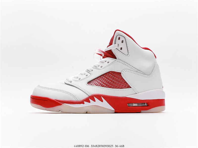 Air Jordan 5 GS 